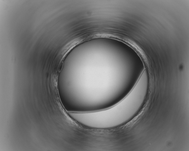 X0000091070809200708061021