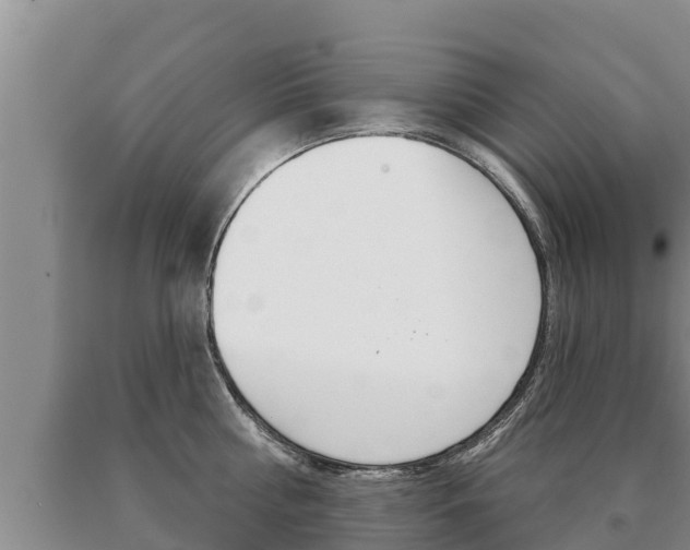X0000091070810200708061021