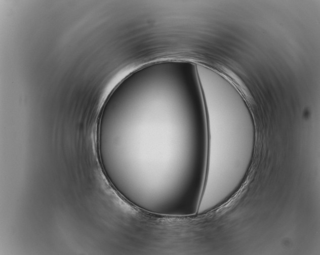 X0000091070812200708061021
