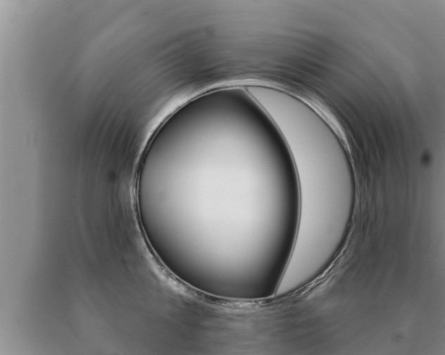 X0000091070813200708061021