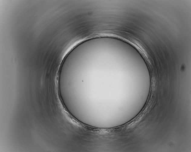 X0000091070814200708061021
