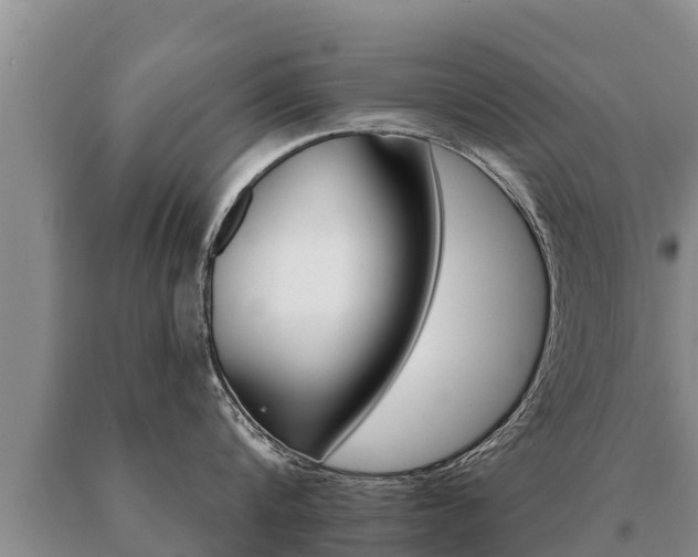 X0000091070816200708061021