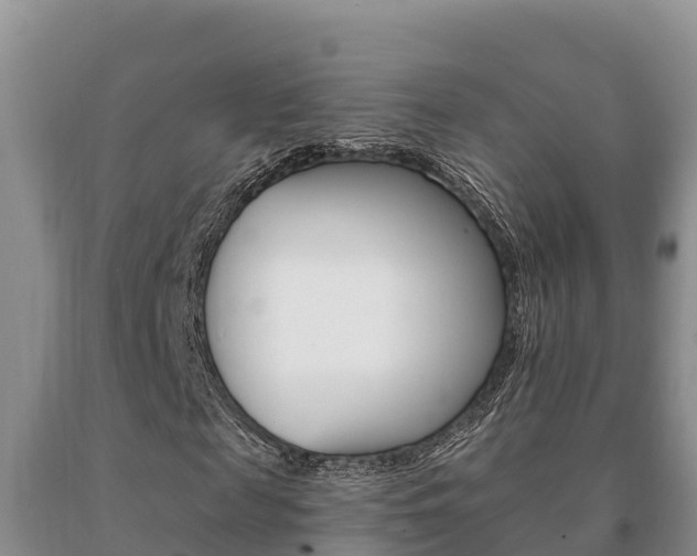 X0000091070817200708061020