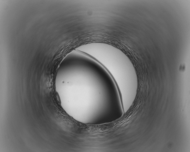 X0000091070818200708061021