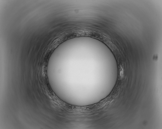 X0000091070819200708061021