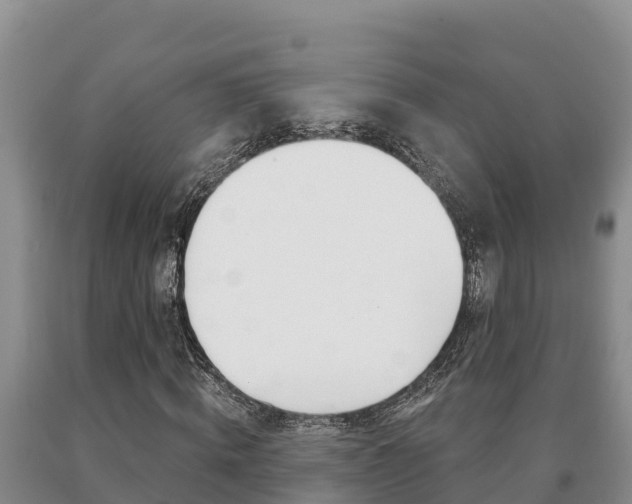 X0000091070820200708061021