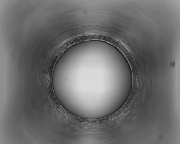 X0000091070821200708061021