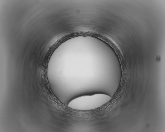 X0000091070823200708061021