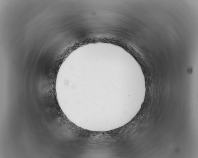 X0000091070824200708061021
