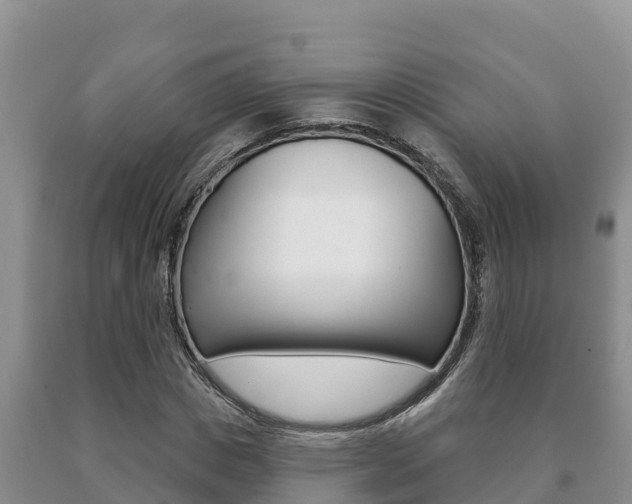 X0000091070825200708061021