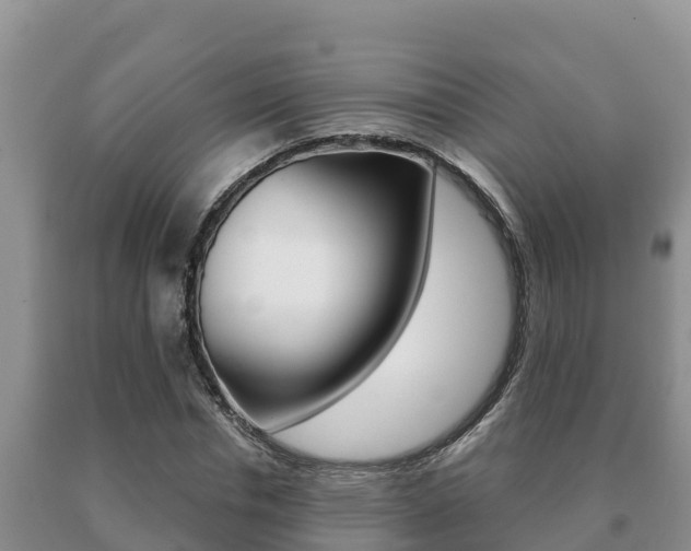 X0000091070826200708061021