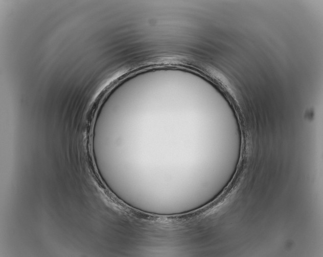X0000091070827200708061021