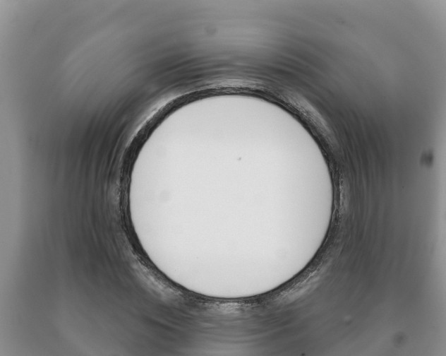 X0000091070828200708061021