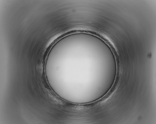 X0000091070829200708061021