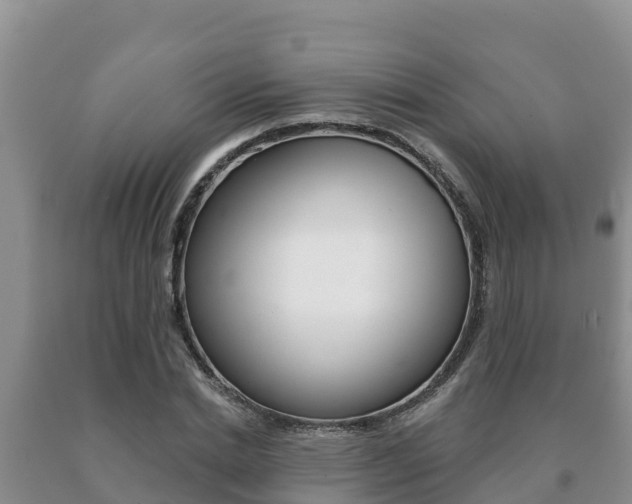 X0000091070830200708061021