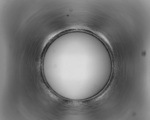 X0000091070831200708061021
