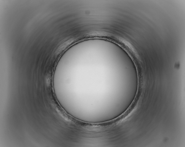 X0000091070833200708061021