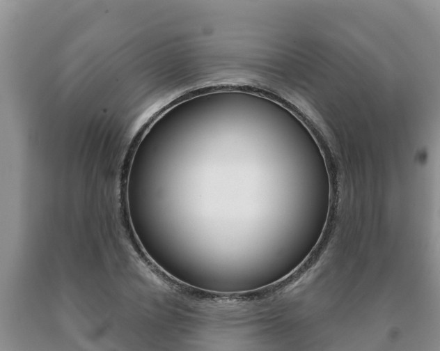 X0000091070834200708061021