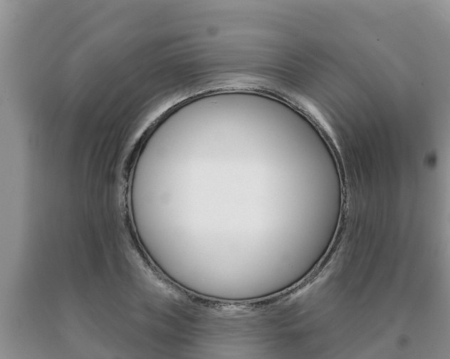 X0000091070835200708061021
