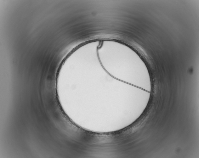 X0000091070836200708061021