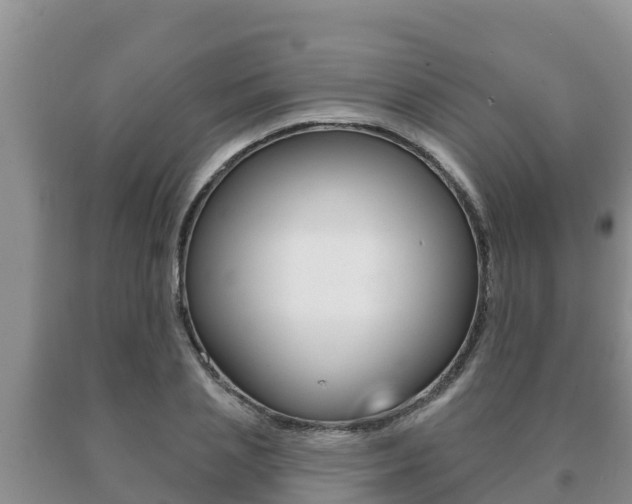 X0000091070837200708061021