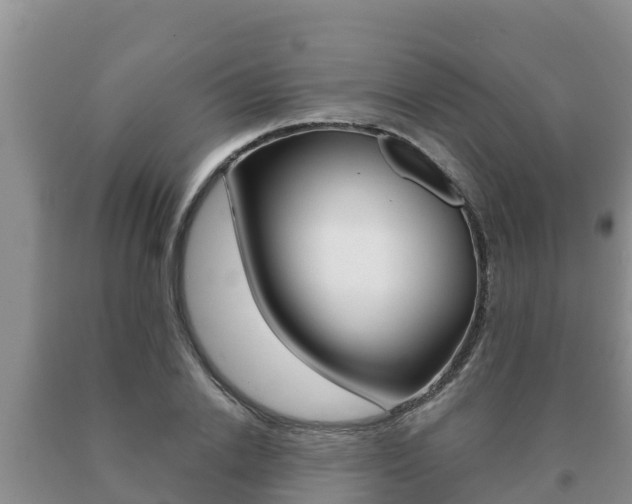 X0000091070838200708061021