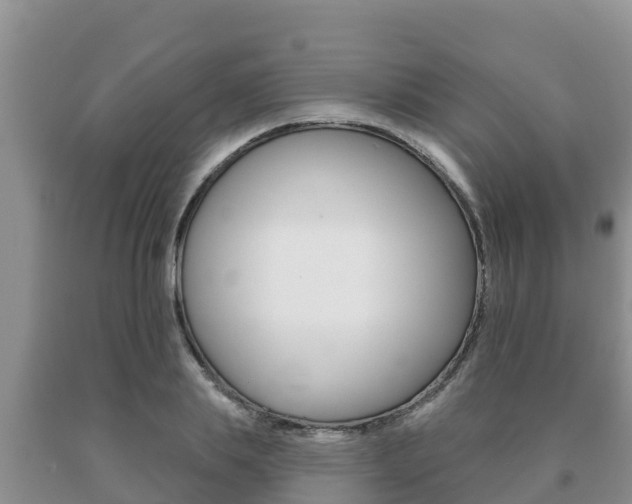 X0000091070839200708061021