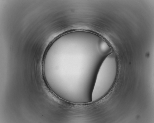 X0000091070840200708061021