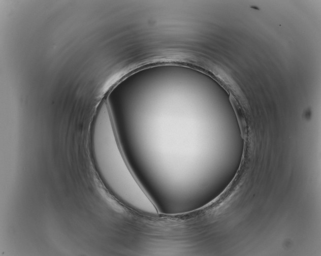 X0000091070842200708061021