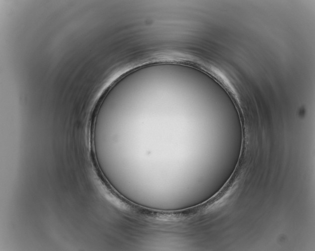 X0000091070843200708061021