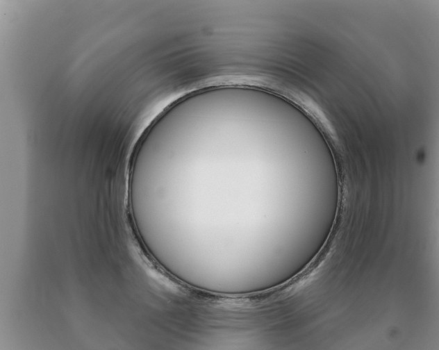 X0000091070844200708061021