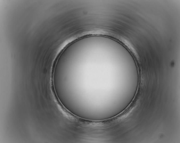 X0000091070845200708061021