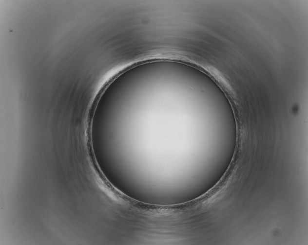 X0000091070846200708061021