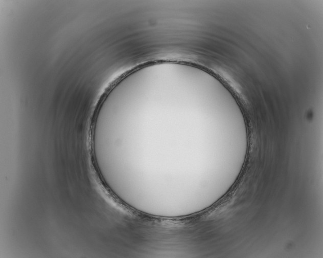 X0000091070848200708061021