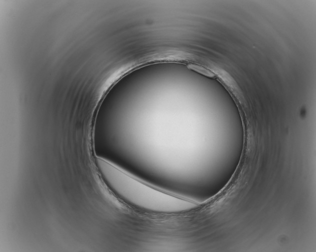 X0000091070850200708061021