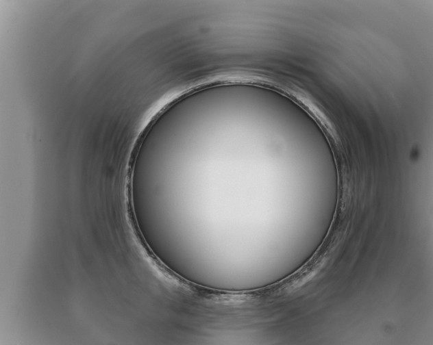 X0000091070853200708061021