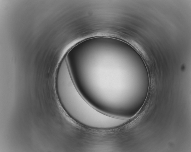 X0000091070854200708061021
