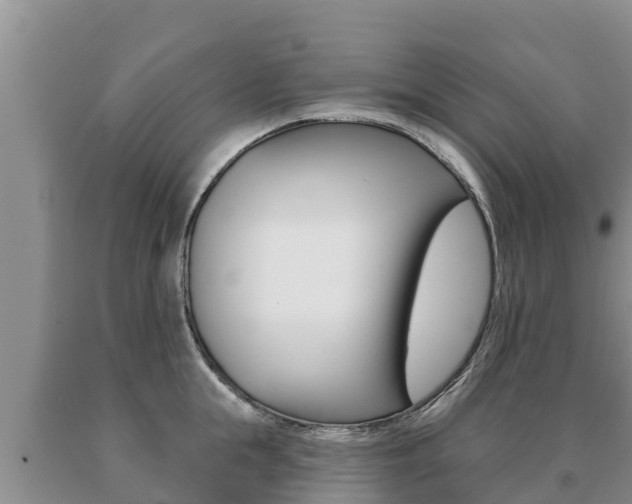 X0000091070855200708061021