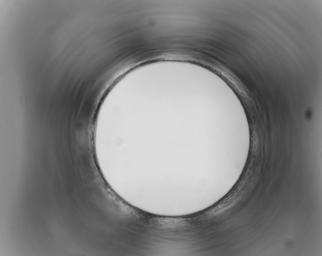 X0000091070856200708061021