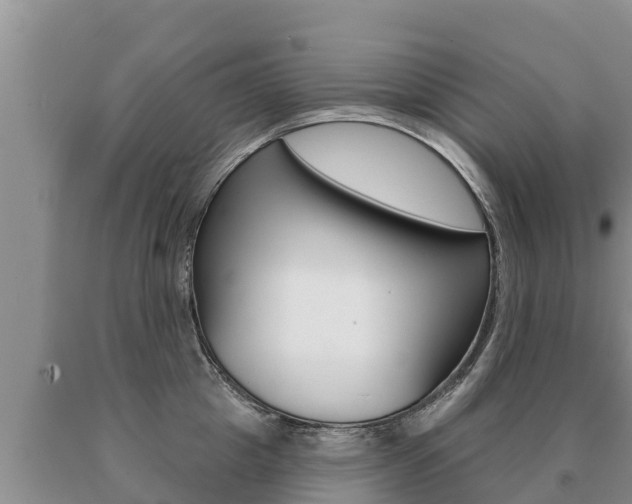 X0000091070857200708061021