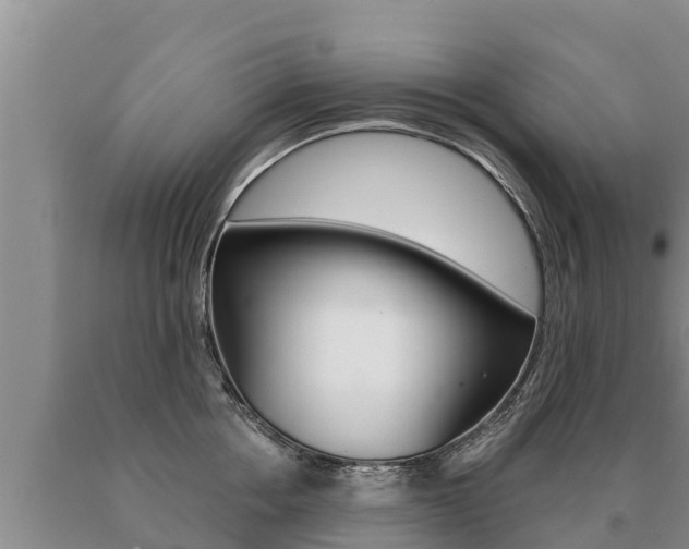 X0000091070858200708061021