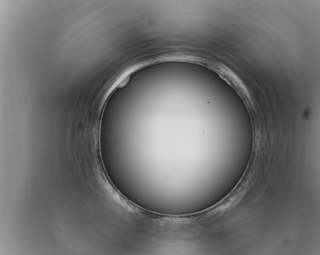 X0000091070860200708061021