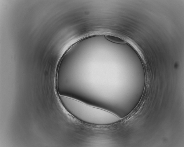X0000091070861200708061021