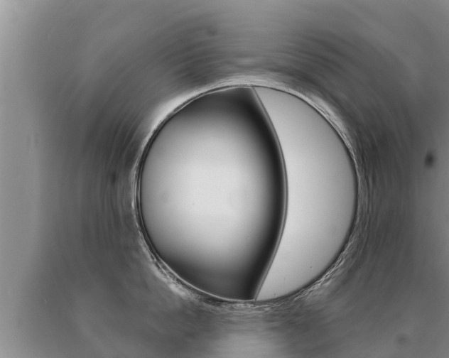 X0000091070862200708061021