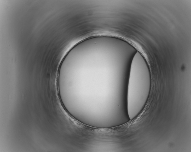 X0000091070863200708061021