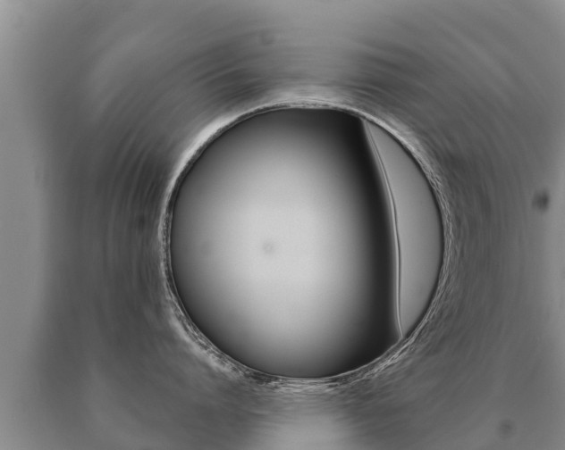 X0000091070864200708061021