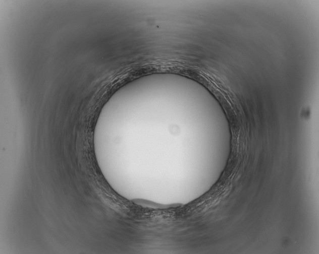 X0000091070865200708061020