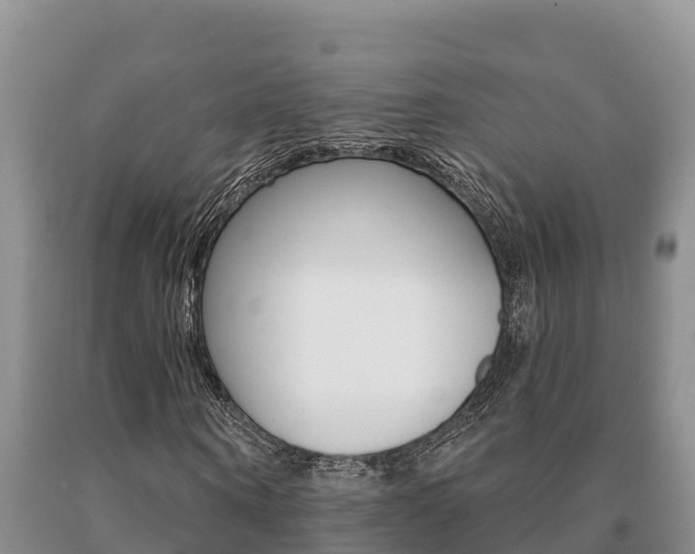 X0000091070866200708061020