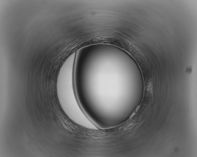X0000091070868200708061020