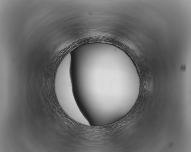 X0000091070869200708061020